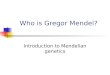 Who is Gregor Mendel?