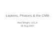 Leptons, Photons & the CMB