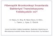 Fiberoptik Bronkoskopi İnsanlarda  Bakteriyel Translokasyonu Tetikleyebilir mi?
