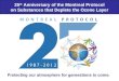 25 th  Anniversary of the Montreal Protocol on Substances that Deplete the Ozone Layer