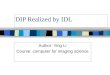 DIP Realized by IDL