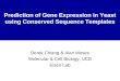 Prediction of Gene Expression in Yeast using Conserved Sequence Templates