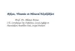 Rikets, Vitamin ve Mineral Eksiklikleri Prof. Dr. Ahmet Arvas
