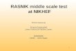 RASNIK middle scale test  at NIKHEF