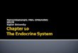 Chapter 10 The Endocrine System