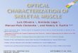 Optical Characterization of Skeletal Muscle