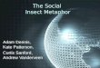 The Social  Insect Metaphor
