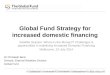 Global Fund Strategy for increased domestic financing