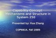 Capability Concept  Mechanisms and Structure in System 250