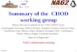 Summary of the  CHOD  working group