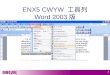 ENX5 CWYW  工具列 Word 2003 版