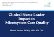 Clinical Nurse Leader  Impact on  Microsystem Care Quality