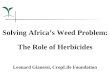 Solving Africa’s Weed Problem: The Role of Herbicides