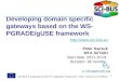 Developing domain specific gateways based on the WS-PGRADE/gUSE framework