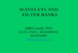 WAVELETS AND  FILTER BANKS