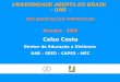 UNIVERSIDADE ABERTA DO BRASIL  – UAB  - IMPLEMENTAÇÃO E PERPECTIVAS Outubro  – 2008 Celso  Costa