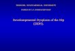 Develompmental Dysplasia of the Hip (DDH)