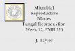 Microbial Reproductive Modes Fungal Reproduction Week 12, PMB 220 J. Taylor