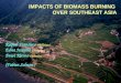 IMPACTS OF BIOMASS BURNING  OVER SOUTHEAST ASIA