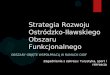 Strategia Rozwoju Ostródzko-Iławskiego Obszaru Funkcjonalnego