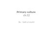 Primary culture ch:12