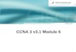 CCNA  3  v3. 1  Module 6