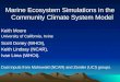 Marine Ecosystem Simulations in the Community Climate System Model Keith Moore