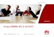 Probe  CDMA V2.1 培训材料