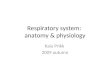 Respiratory system:  anatomy & physiology