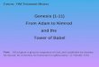 Course:   Old Testament History Genesis (1-11) From Adam to Nimrod  and the  Tower of Babel