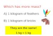 Which has more mass? A) 1 kilogram of feathers B) 1 kilogram of bricks