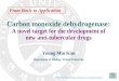 Carbon monoxide dehydrogenase: A novel target for the development of new anti-tubercular drugs