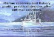 Marine reserves and fishery profit: practical designs offer optimal solutions