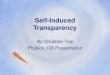 Self-Induced Transparency