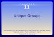 Chapter 11 Unique Groups