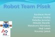 Robot Team Písek