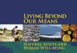 The Millennium Ecosystem Assessment (MA)