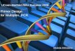 UConn BioGrid REU Summer 2008 Primer Design for Multiplex  PCR