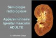 S©miologie radiologique Appareil urinaire /g©nital masculin ADULTE
