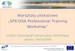 Warsztaty pilotażowe „ SPICOSA  Professional Training Workshop”
