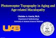 Photoreceptor Topography in Aging and Age-related Maculopathy