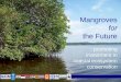 Mangroves for the Future promoting investment in coastal ecosystem conservation