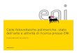 Celle fotovoltaiche polimeriche: stato dell’arte e attività di ricerca presso ENI