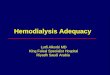 Hemodialysis Adequacy