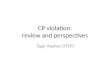CP  violation: review and perspectives