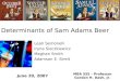 Determinants of Sam Adams Beer