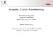 Haptic Cloth Rendering