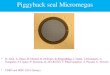 Piggyback seal Micromegas