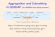 Aggregation and Subsetting in ERDDAP  (a middleman data server)