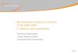 Binnenlandse Francqui Leerstoel  VUB 2004-2005 2. Options and investments